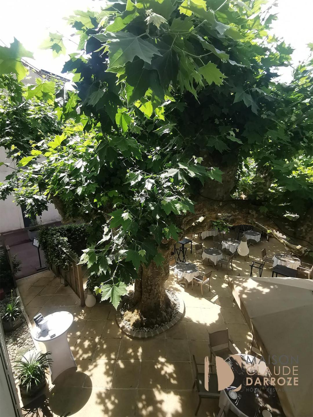 לנגון Logis Hotel - Restaurant Maison Claude Darroze מראה חיצוני תמונה